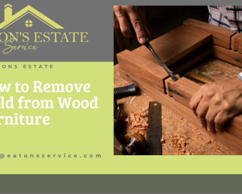How to Remove Mold from Wood Furniture: Comprehensive Guide