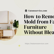 How to Remove Mold from Fabric Furniture Without Bleach?