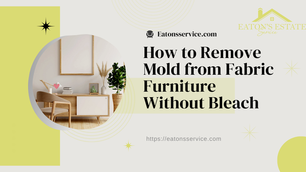 How to Remove Mold from Fabric Furniture Without Bleach?