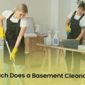 basement cleaning cost