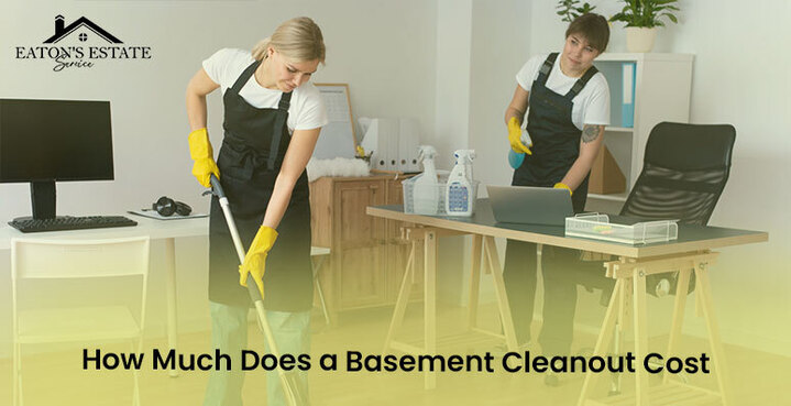 basement cleaning cost
